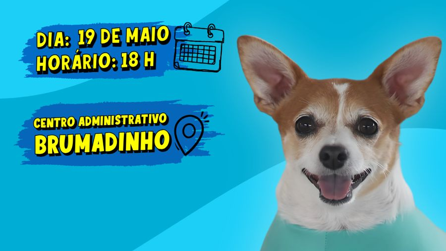 Imagem Notícia